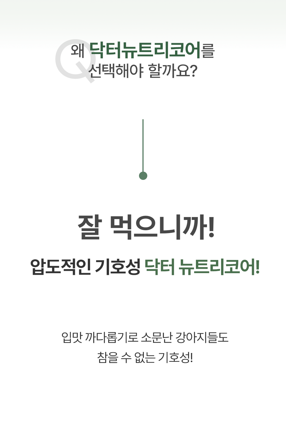 [무료배송] 닥터뉴트리코어 보스웰리아100*15ea 2번째