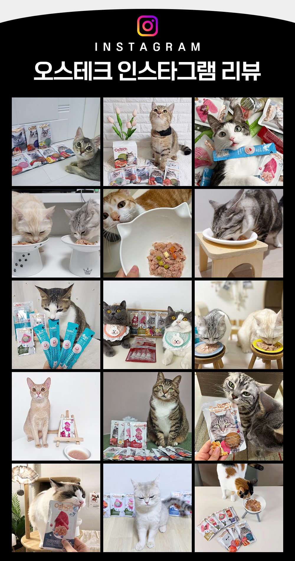 오스테크 캣 울트라 참치 토핑 가리비 젤리 파우치 70g 8번째