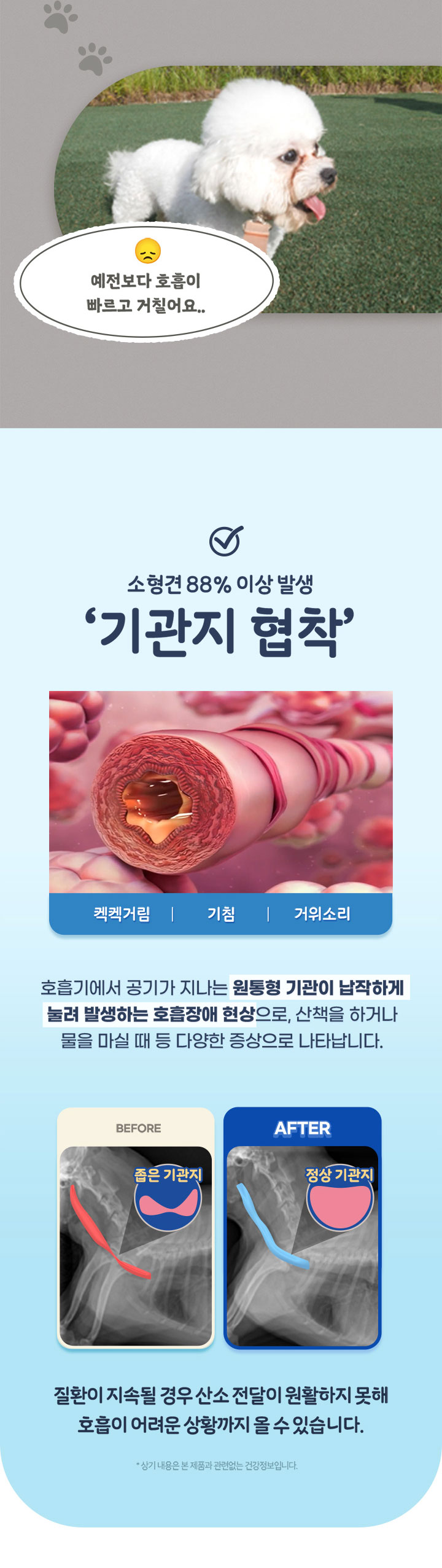 [브랜드전][무료배송] 펫또마망 강아지 기관지 영양제  365 면역 케어 80g 2번째 상세 이미지