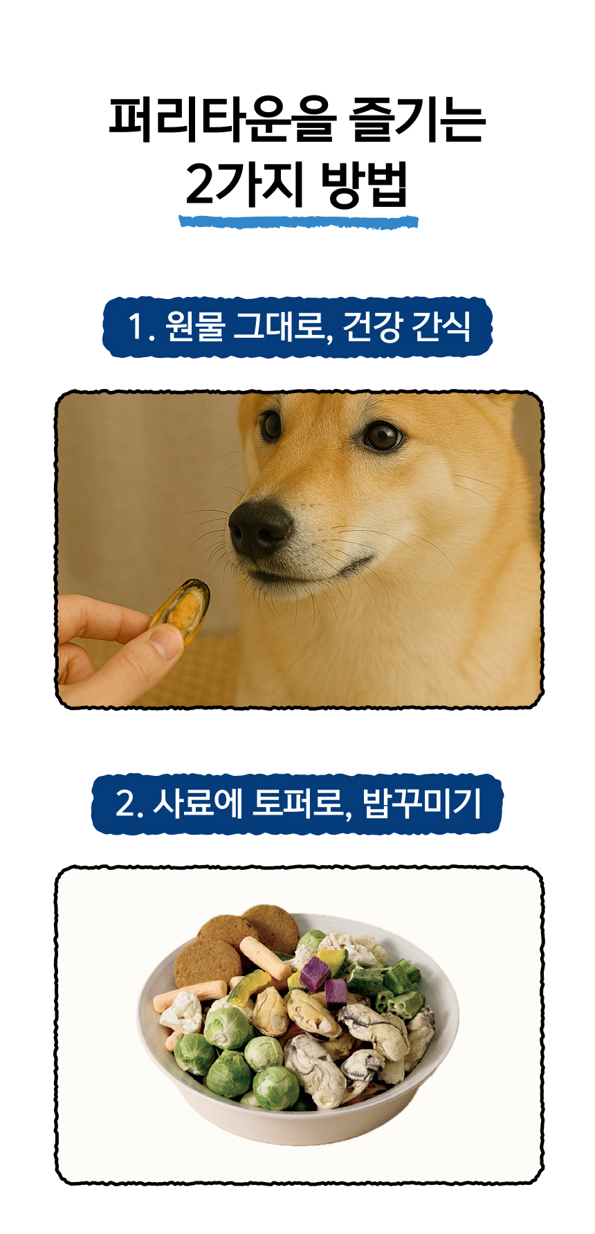 [NEW신상][무료배송] 퍼리타운 동결건조 연어 45g 9번째