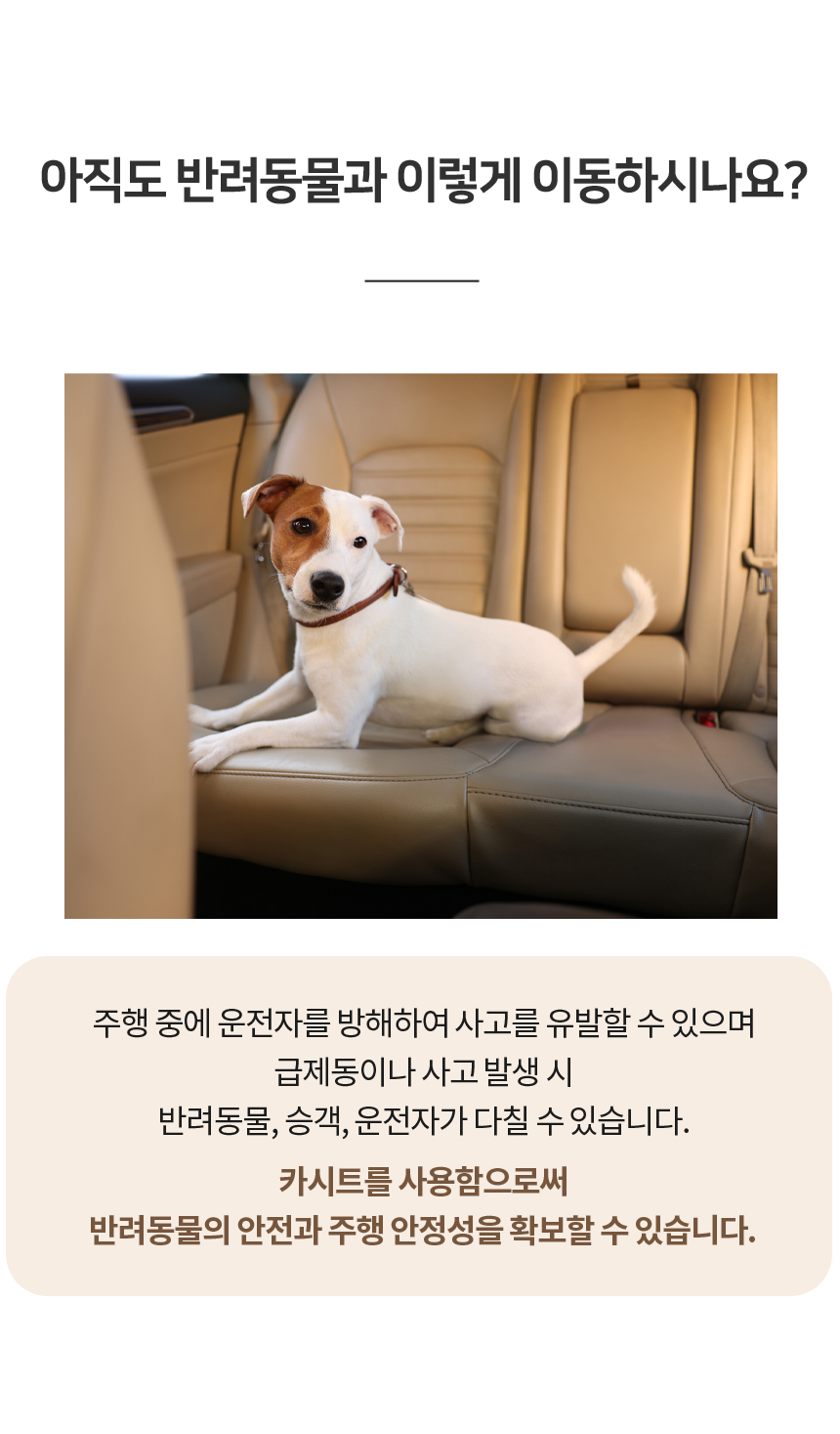 [무료배송] 레토 강아지 3in1 카시트 방수 올커버 분리형 쿠션 5번째