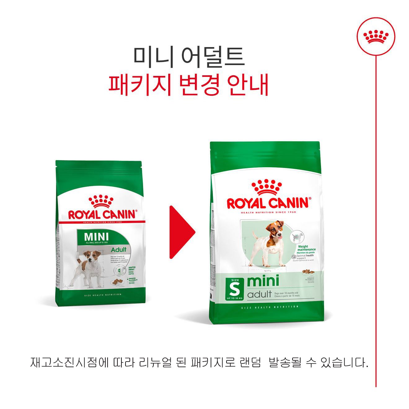 로얄캐닌 독 미니 어덜트 8+ 8kg 치석예방 1번째