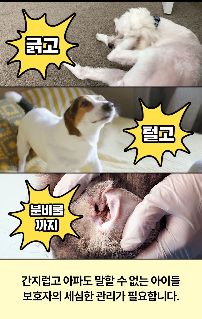 [심쿵펫페어]펫생각 데일리케얼 티트리 88 이어클리너 120ml 3번째