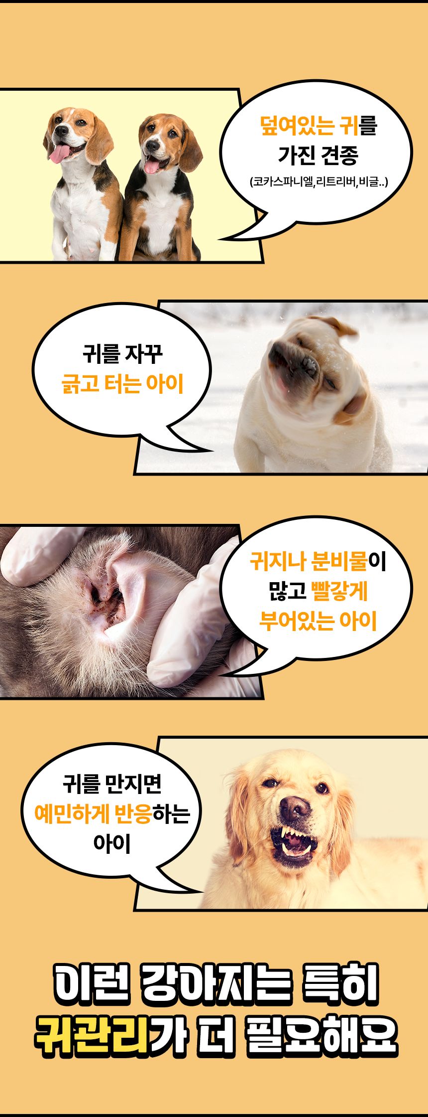 [심쿵펫페어]펫생각 데일리케얼 티트리 88 이어클리너 120ml 5번째