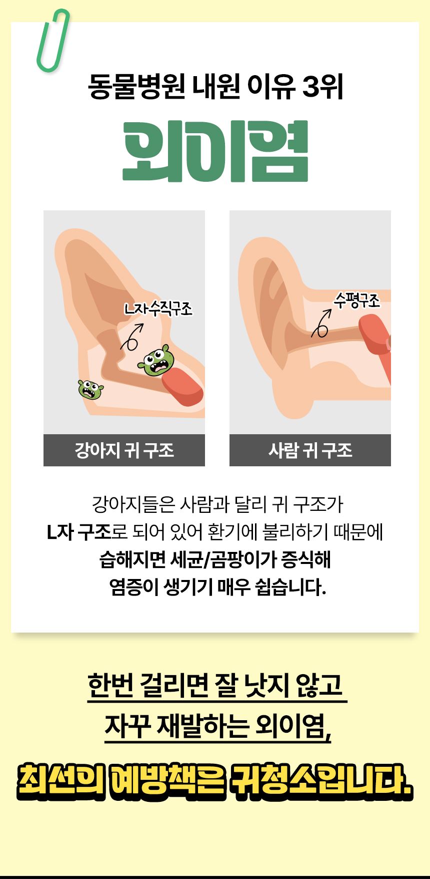 [심쿵펫페어]펫생각 데일리케얼 티트리 88 이어클리너 120ml 4번째