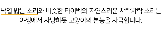 집에가야돼 챠락챠락스틱 타이벡/리본 리필 2p 15번째