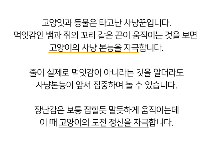 집에가야돼 챠락챠락스틱 타이벡/리본 리필 2p 5번째