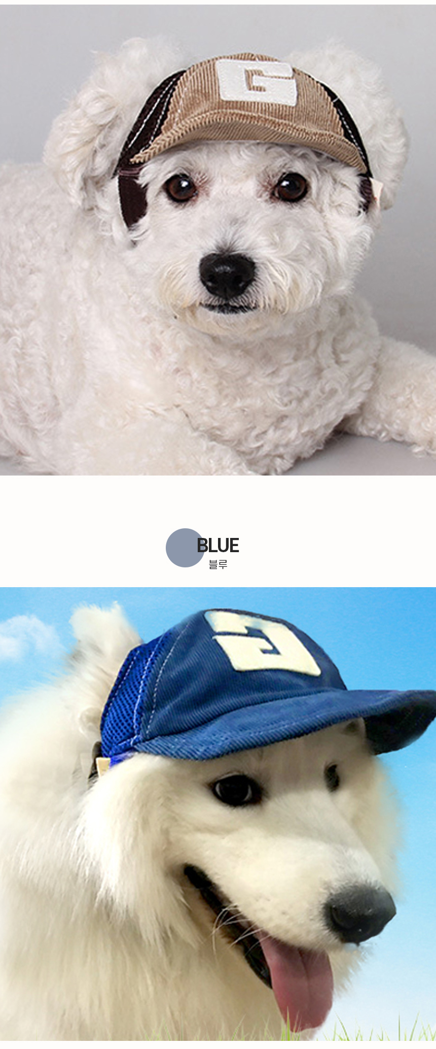 [NEW신상][무료배송] 개과천선 포머스 캡 모자 5번째