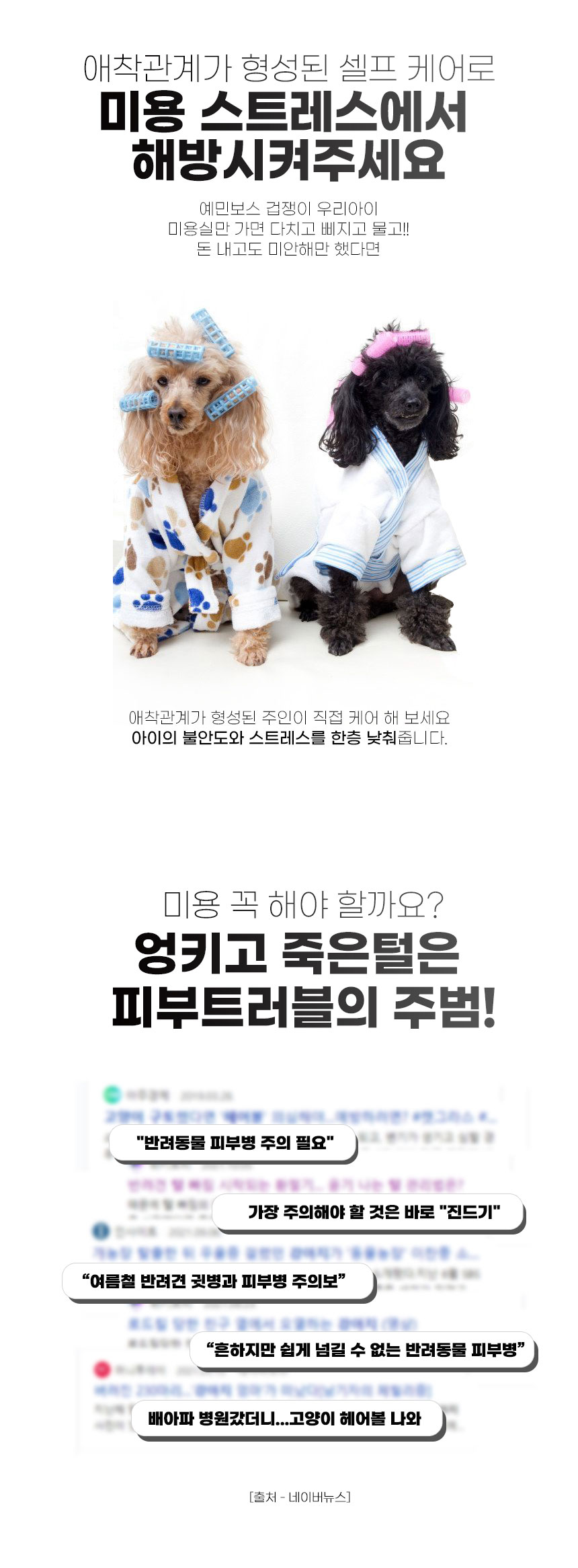 [무료배송] 인뮤즈 독 프리미엄 미용가위 4종 SET 2번째