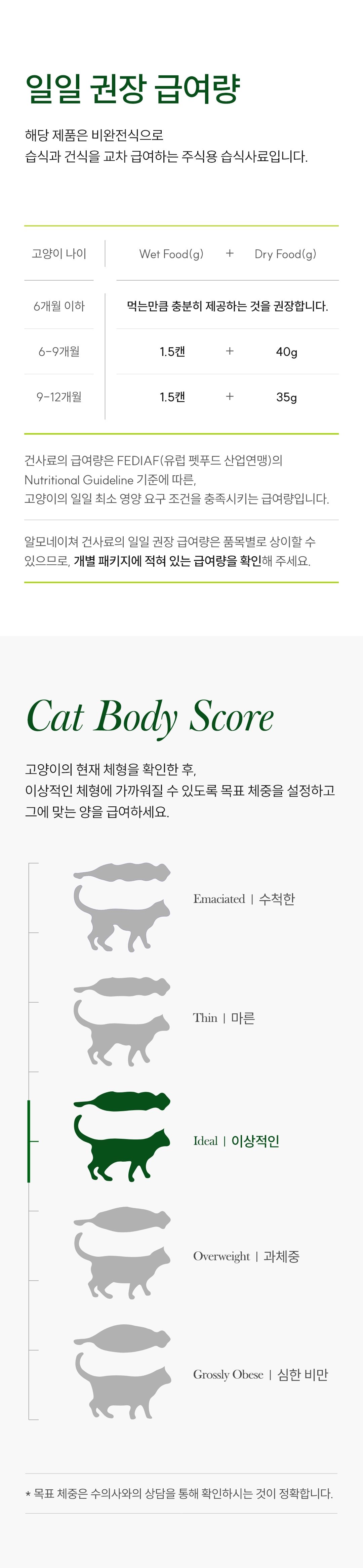 알모네이쳐 캣 닭고기 키튼 캔 70g 5번째