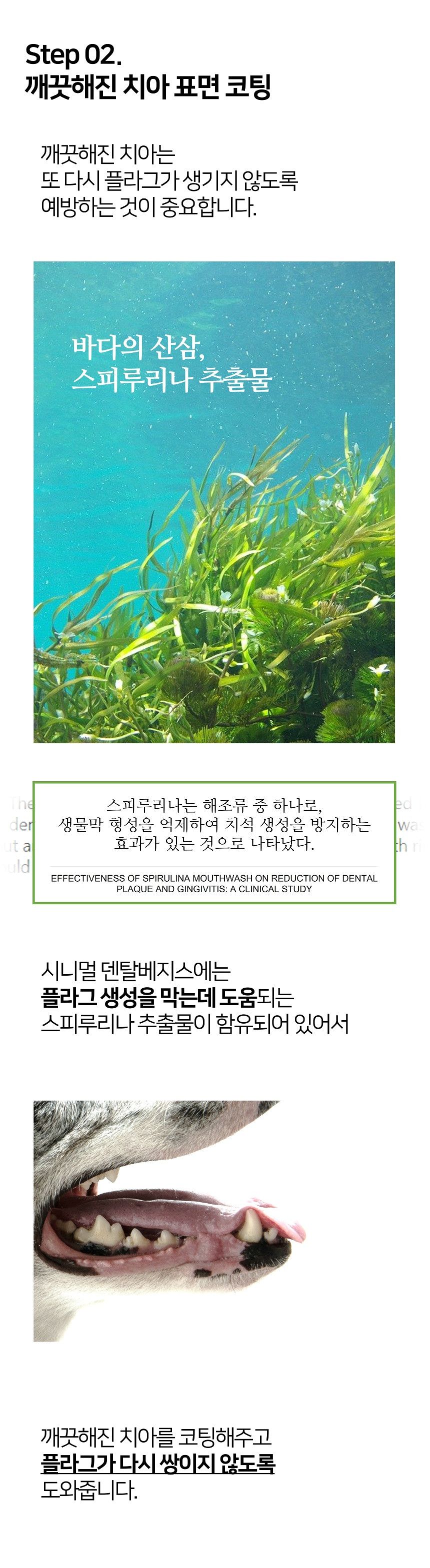 시니멀 독 덴탈베지스 그린 210g 5번째