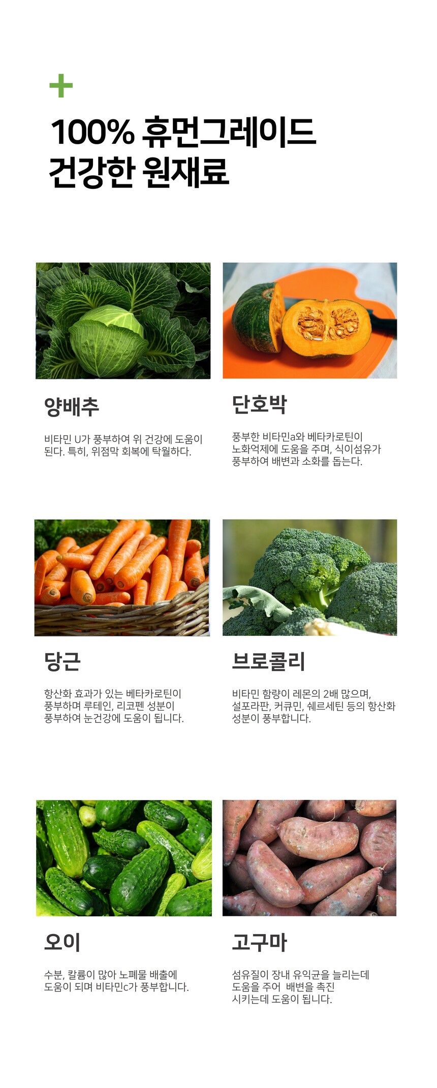 시니멀 독 덴탈베지스 그린 210g 19번째