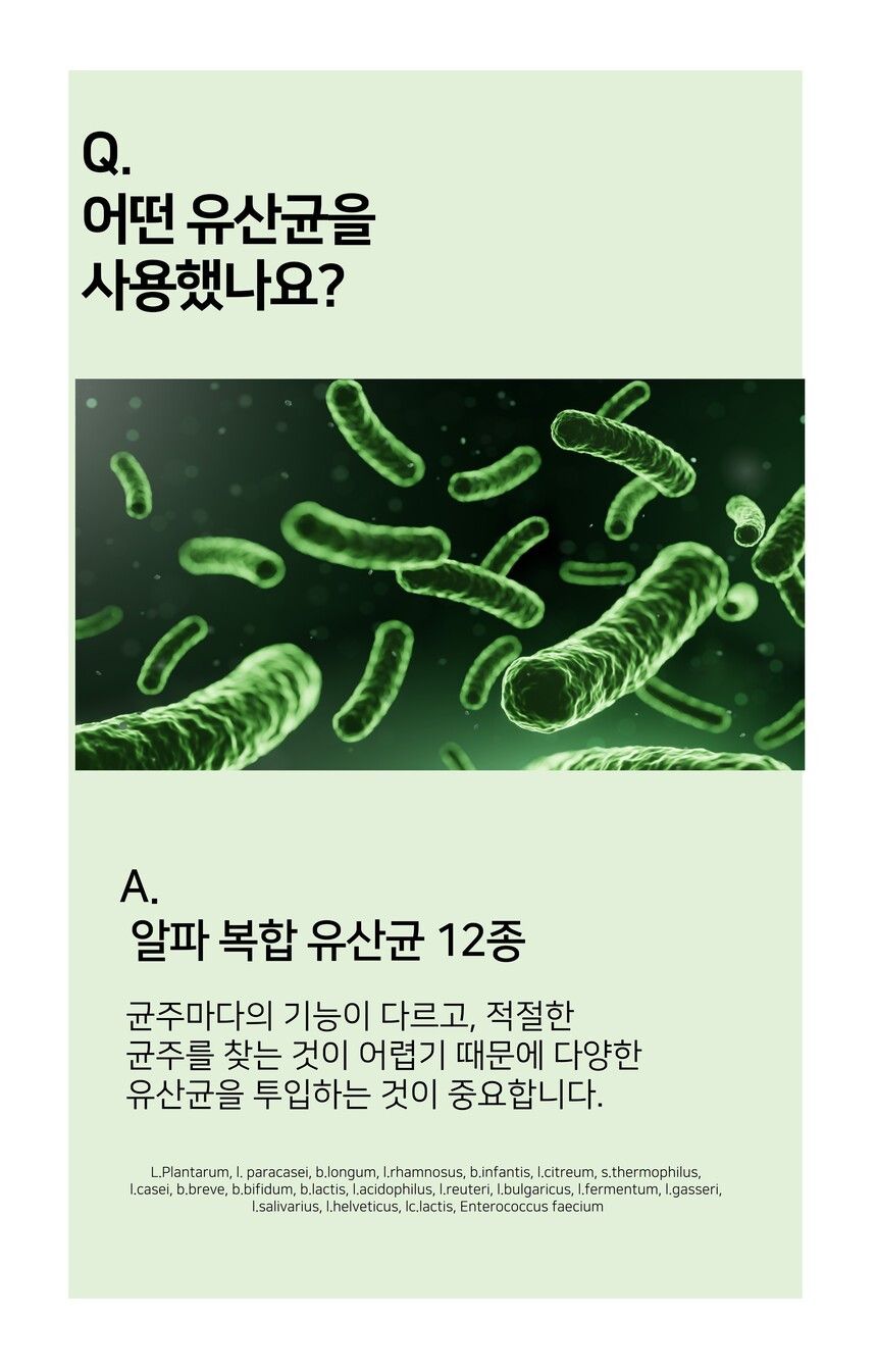 시니멀 독 덴탈베지스 그린 210g 17번째