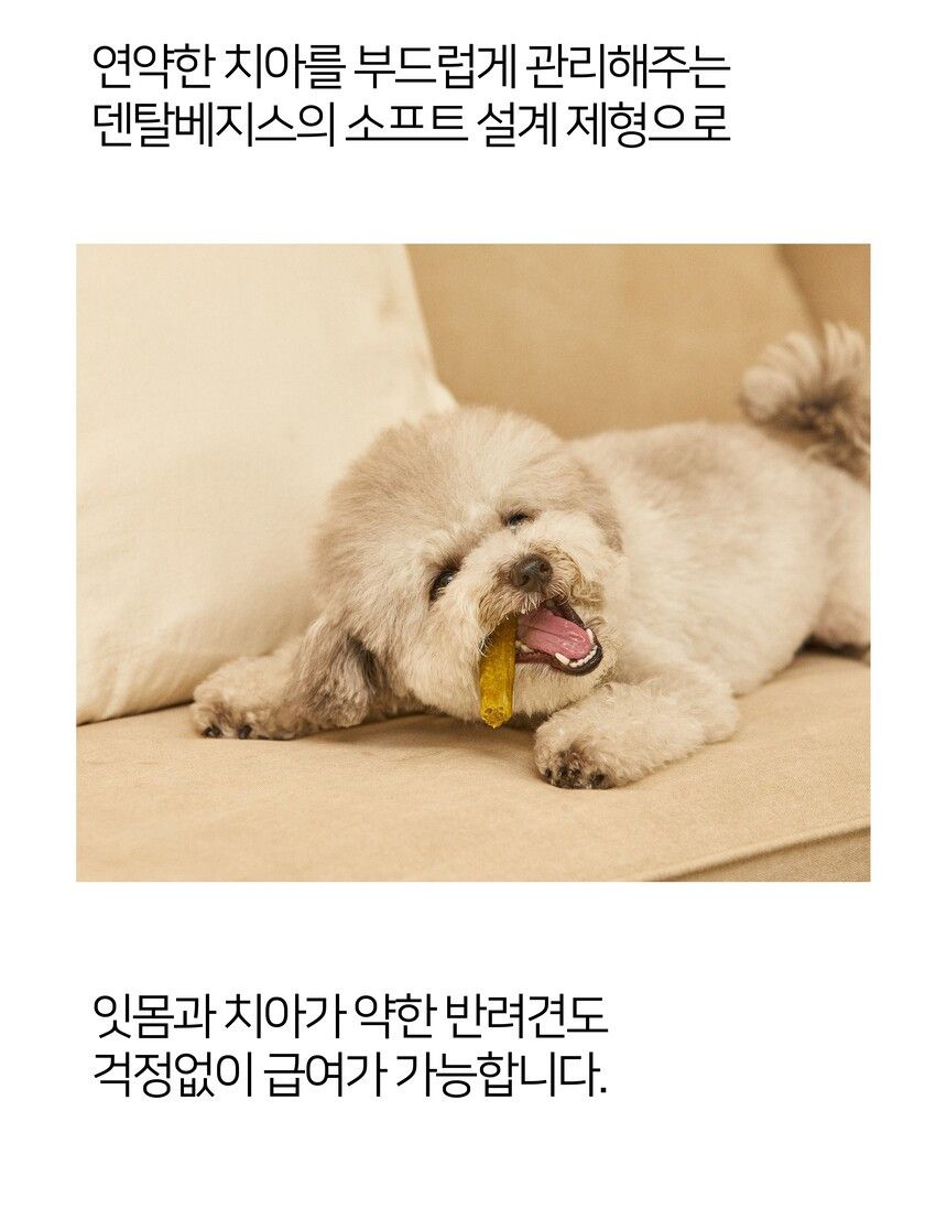 시니멀 독 덴탈베지스 그린 210g 8번째
