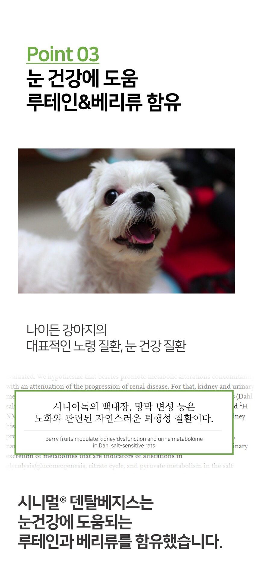 시니멀 독 덴탈베지스 그린 210g 14번째