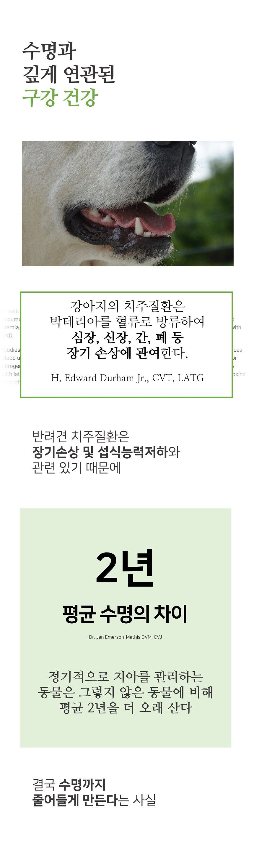 시니멀 독 덴탈베지스 그린 210g 1번째
