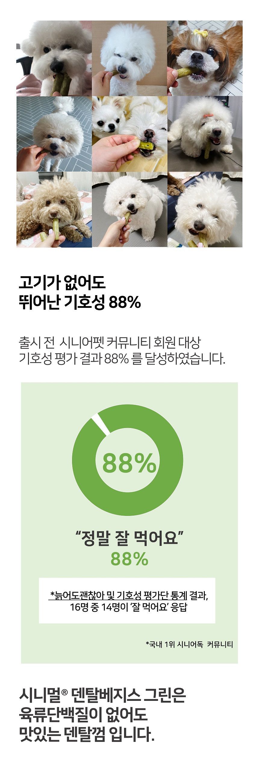 시니멀 독 덴탈베지스 그린 210g 11번째