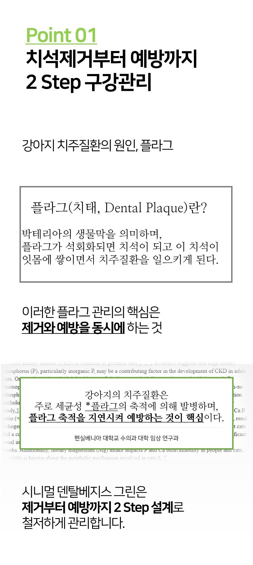 시니멀 독 덴탈베지스 그린 210g 3번째