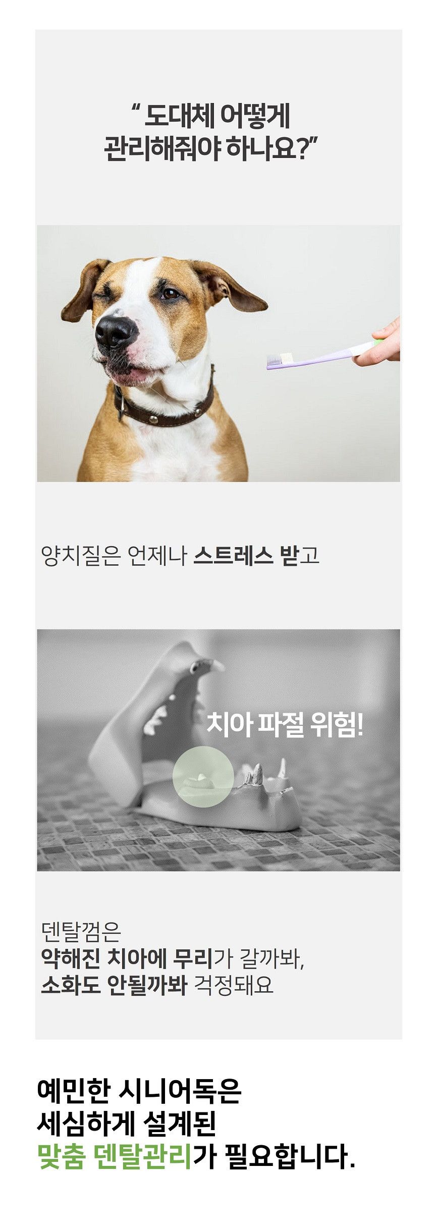 시니멀 독 덴탈베지스 그린 210g 2번째