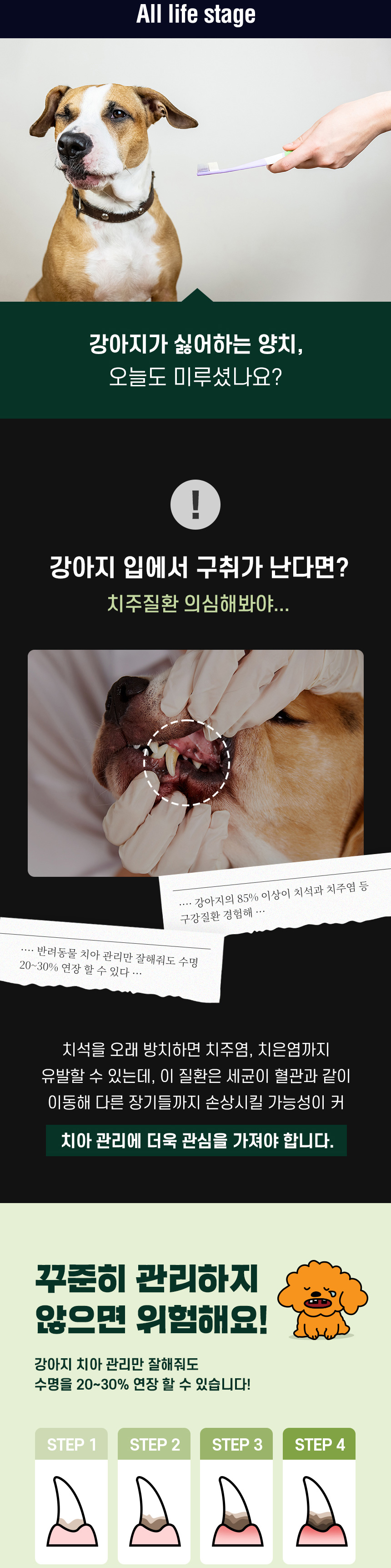 [심쿵펫페어][무료배송] 데이스포 독 와이즈 3.6.5 덴탈케어 브러쉬 종합 240g 20개입 6번째