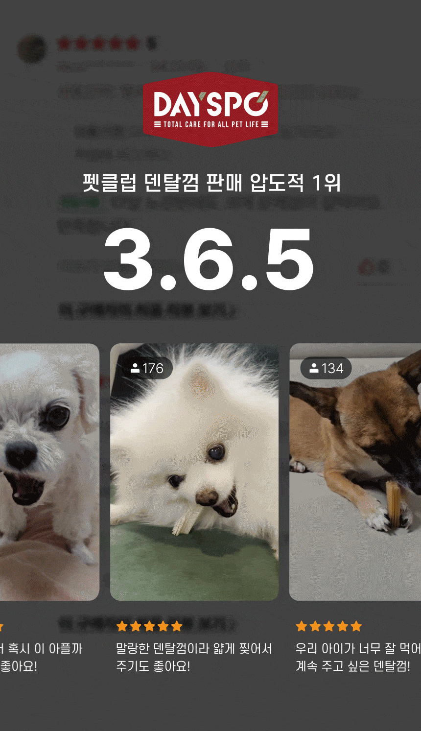[심쿵펫페어][무료배송] 데이스포 독 와이즈 3.6.5 덴탈케어 브러쉬 종합 240g 20개입 2번째