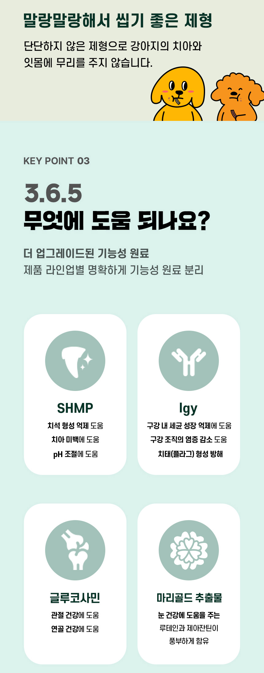 [심쿵펫페어][무료배송] 데이스포 독 와이즈 3.6.5 덴탈케어 브러쉬 종합 240g 20개입 9번째