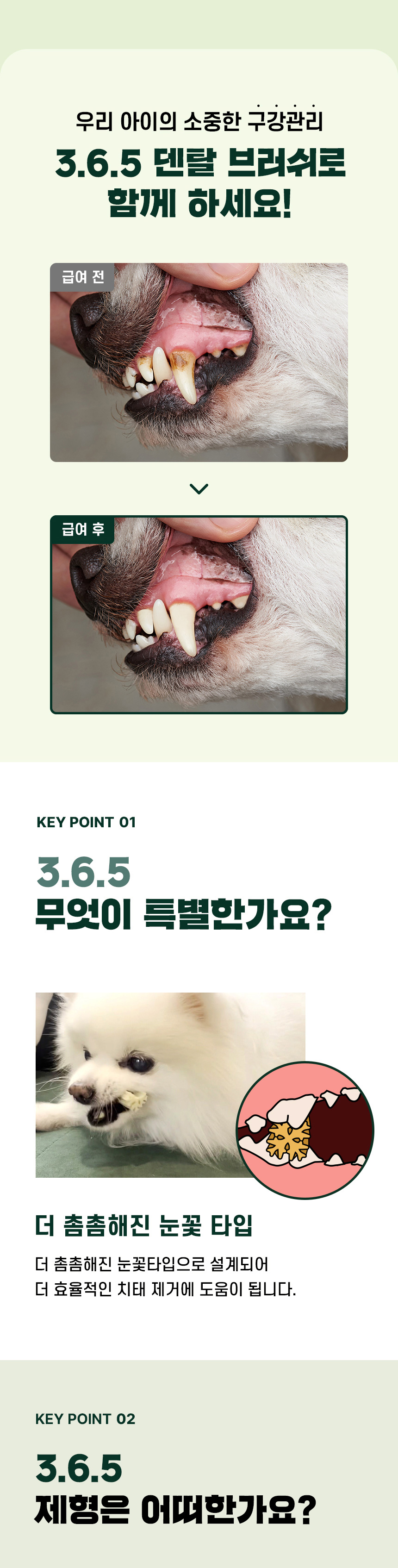 [심쿵펫페어][무료배송] 데이스포 독 와이즈 3.6.5 덴탈케어 브러쉬 종합 240g 20개입 7번째