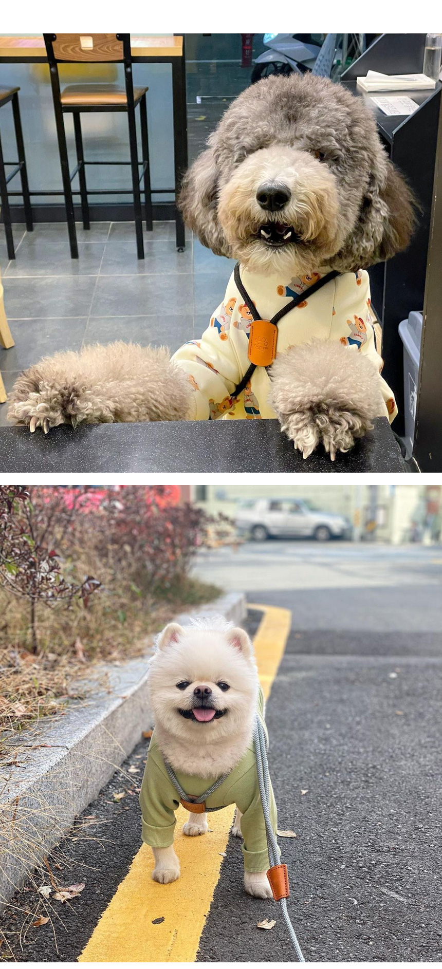 [무료배송] 멍템 로프 하네스 블랙/레드/카키/버건디/그레이 2번째