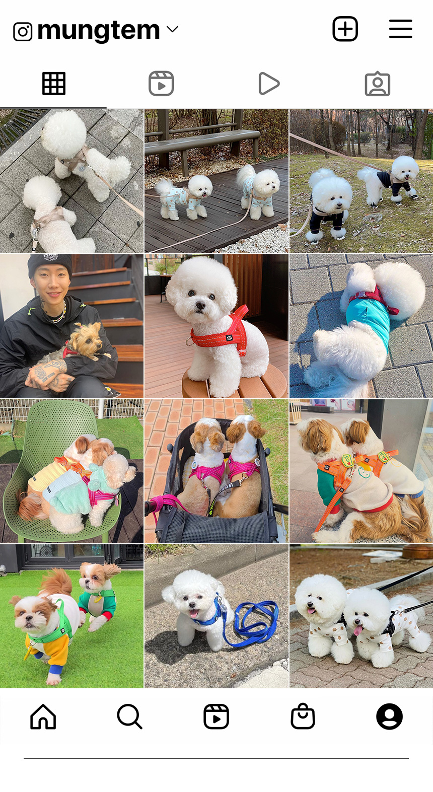 [무료배송] 멍템 로프 하네스 블랙/레드/카키/버건디/그레이 8번째
