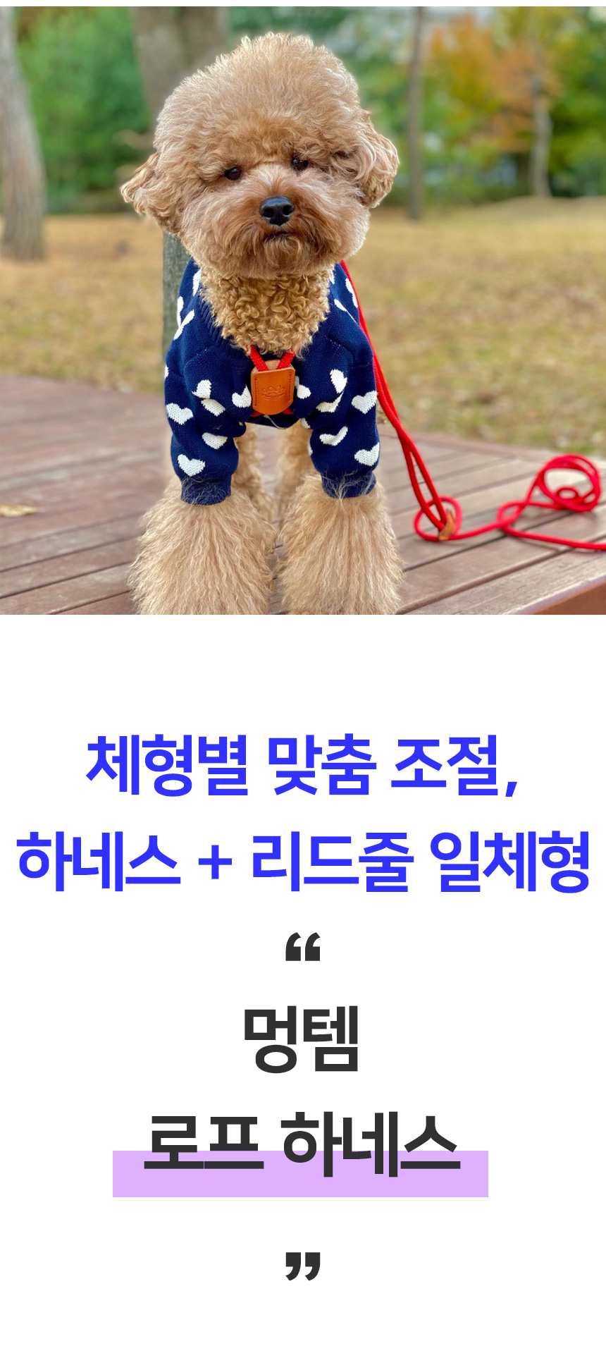 [무료배송] 멍템 로프 하네스 블랙/레드/카키/버건디/그레이 4번째