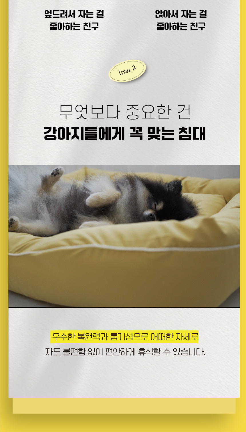 [무료배송] 애구애구 강아지 고양이 방석 올인원 포가드침대 13번째