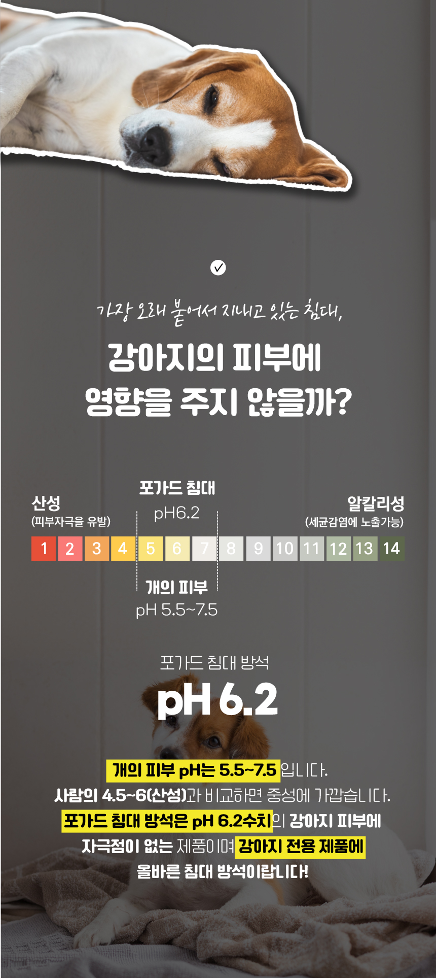 [무료배송] 애구애구 강아지 고양이 방석 올인원 포가드침대 3번째