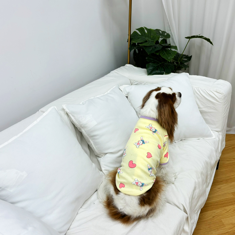 [무료배송] 해피댕댕 버니즈티셔츠 S - 2XL 7번째