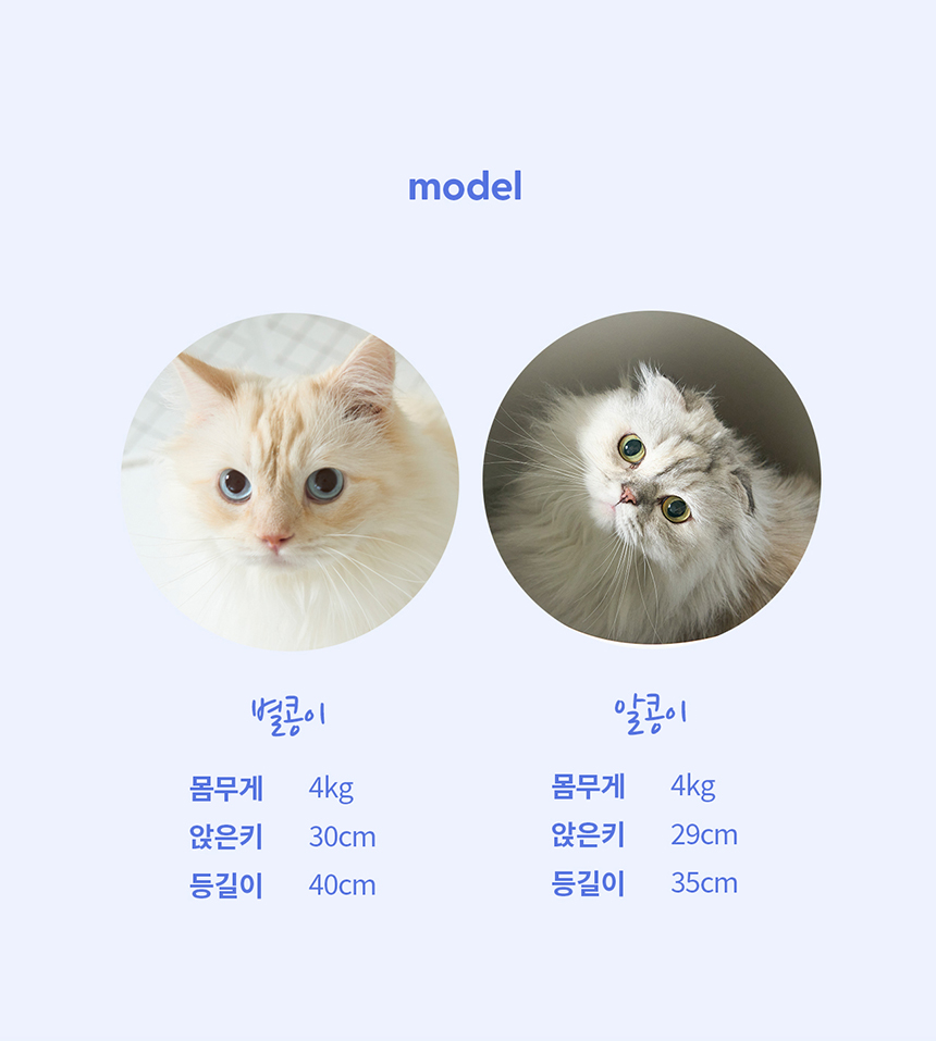 두잇 캣 투웨이 푸푸박스 20번째