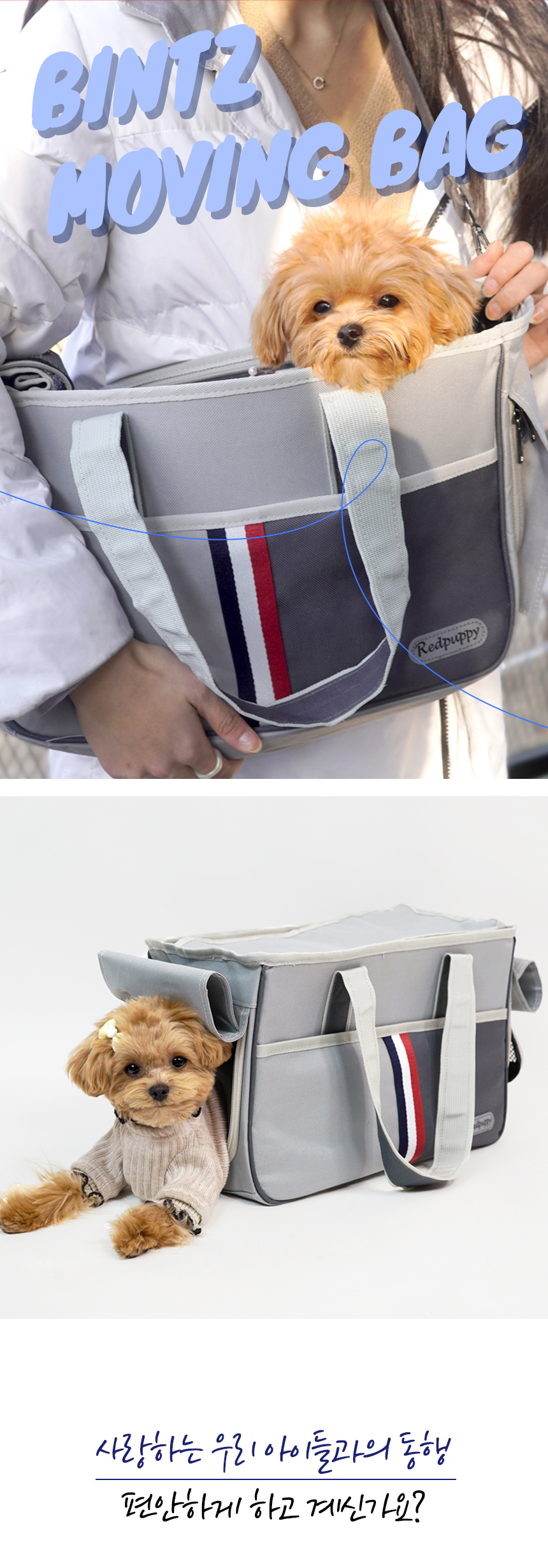 [NEW신상][무료배송] 개과천선 빈츠 이동가방 (파스텔 그레이/진 그레이) 1번째
