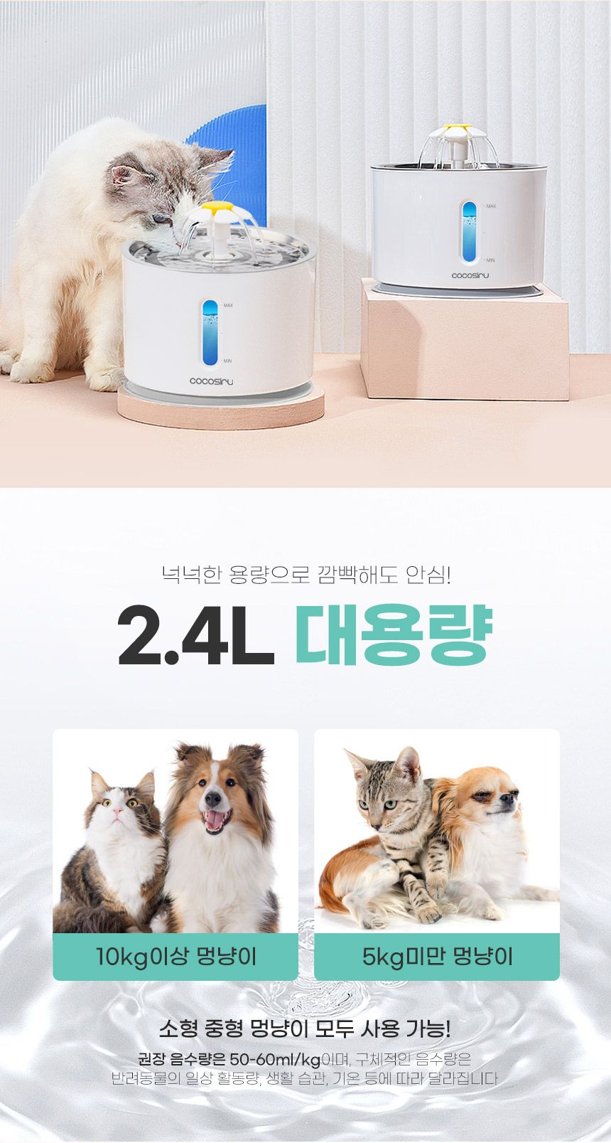 코코시루 해바라기 급수기 (C24WFC) 19번째