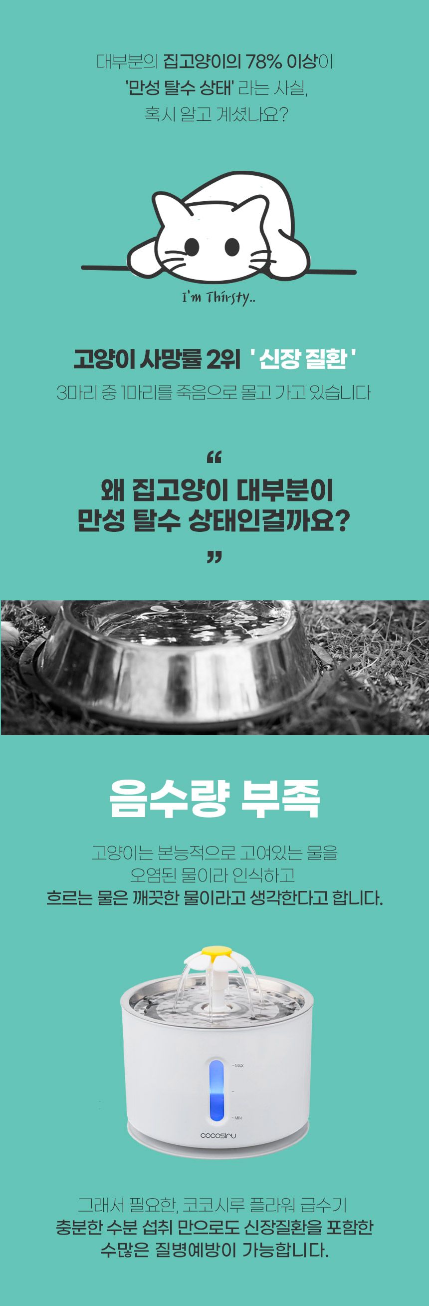 코코시루 해바라기 급수기 (C24WFC) 8번째