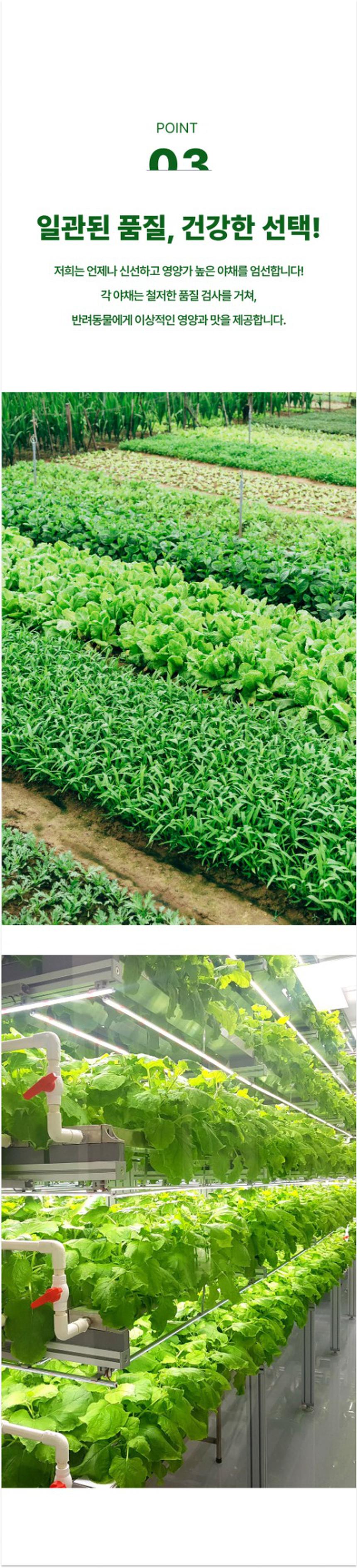 베르게 동결건조 야채트릿 40g 4번째