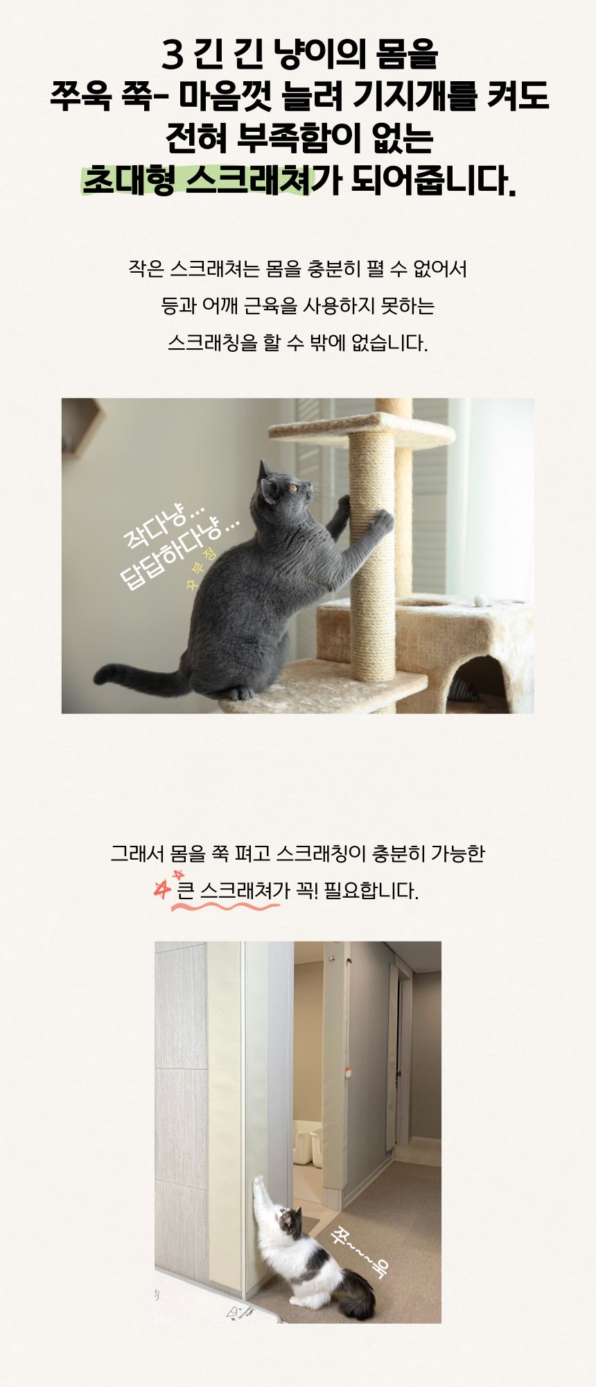 [무료배송] 도레미파 냥오름 고양이 스크래쳐 14번째