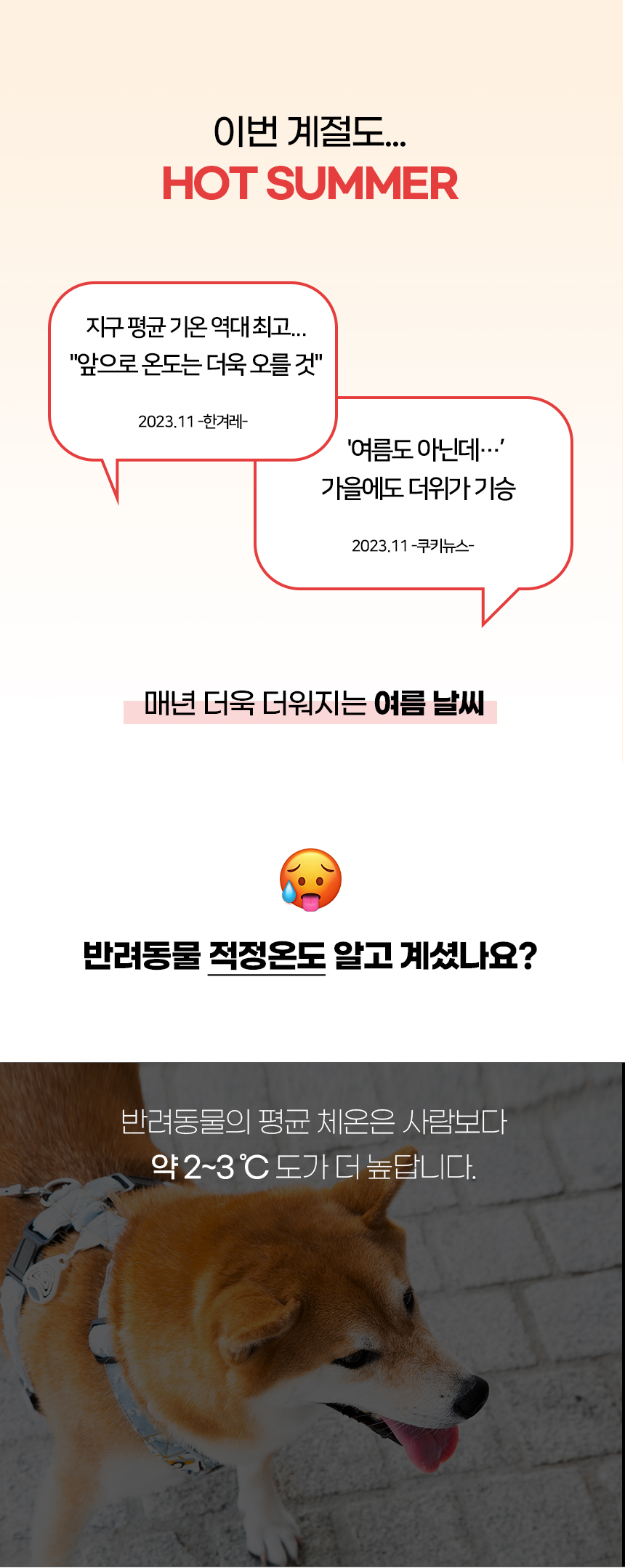 [NEW신상][무료배송] 개과천선 어프 쿨 방석 (그레이/그린/핑크) 2번째