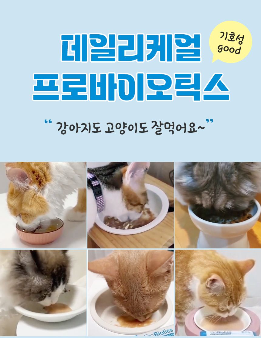[건강구조대]펫생각 데일리케얼 면역 4세대 유산균 3g*30포 4번째