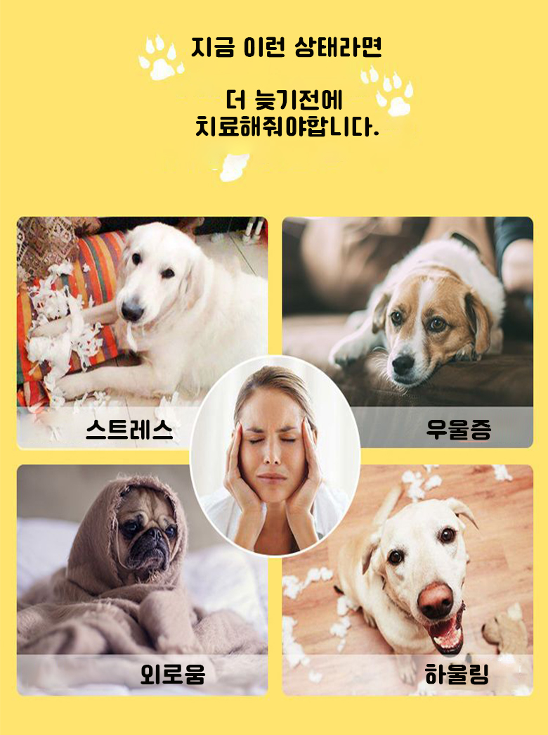 [무료배송] 예보들 독 피자 다단계 노즈워크 매트 2번째