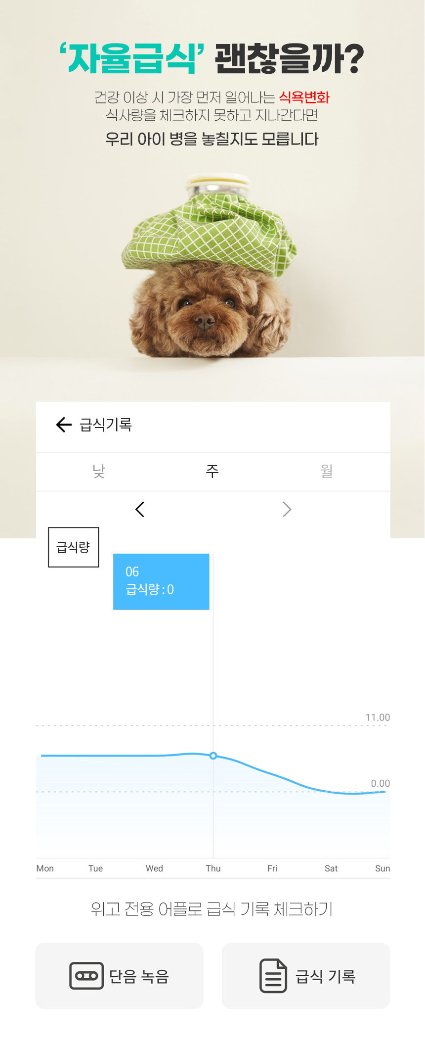 [무료배송] 위고 스마트 4L 카메라 자동 펫급식기 WP4PFC 13번째