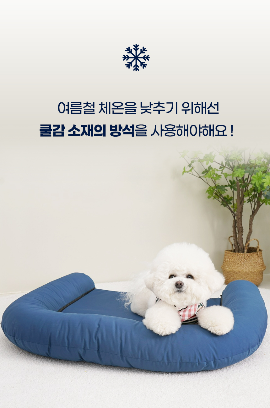 [NEW신상][무료배송] 개과천선 디앤비 쿨 방석 (아이보리/블루) 3번째