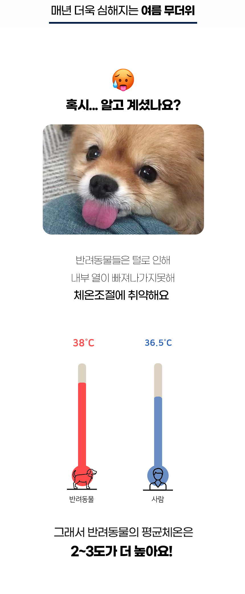 [NEW신상][무료배송] 개과천선 디앤비 쿨 방석 (아이보리/블루) 2번째