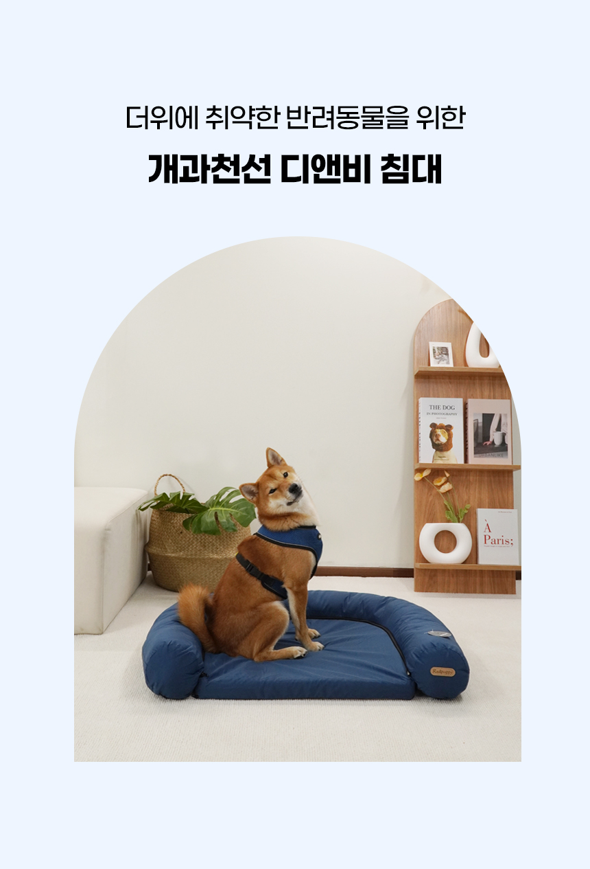 [NEW신상][무료배송] 개과천선 디앤비 쿨 방석 (아이보리/블루) 5번째