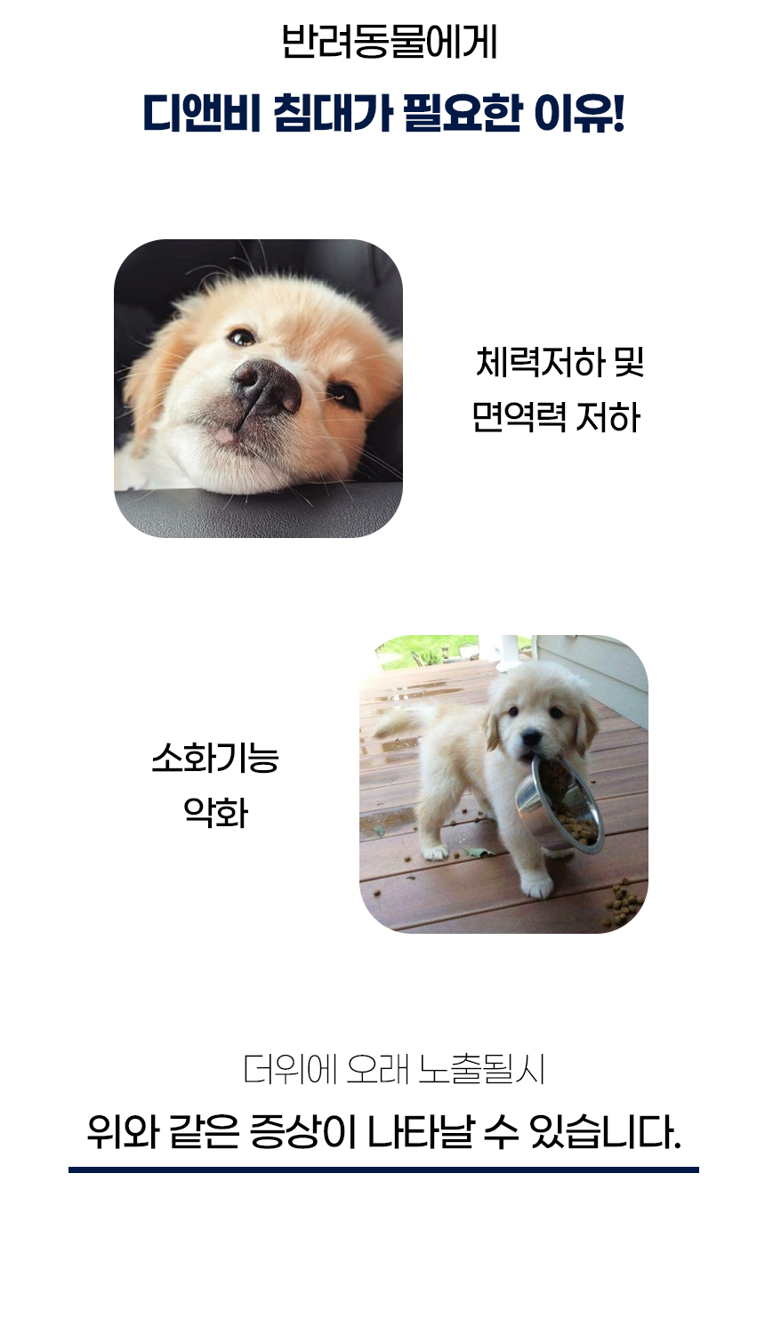 [NEW신상][무료배송] 개과천선 디앤비 쿨 방석 (아이보리/블루) 13번째