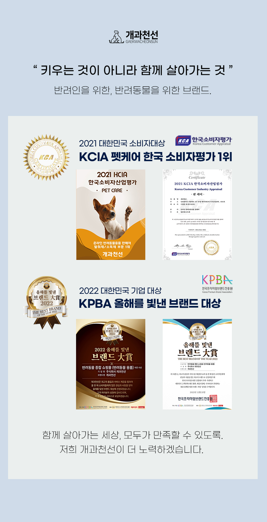 [NEW신상][무료배송] 개과천선 디앤비 쿨 방석 (아이보리/블루) 6번째