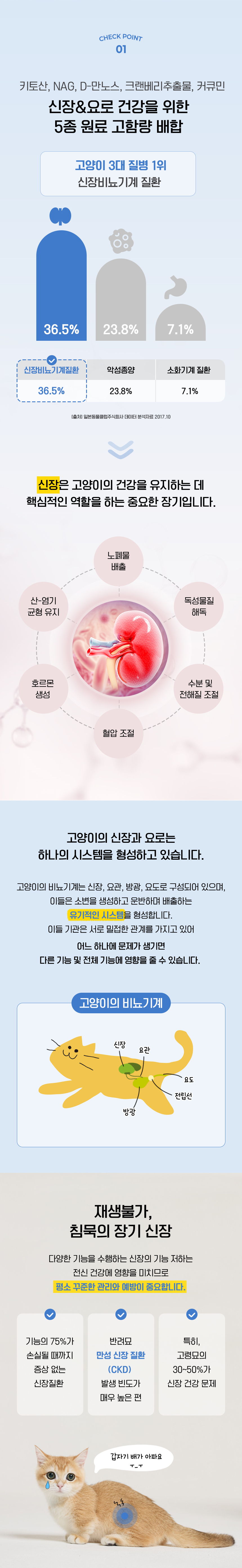 [NEW신상][무료배송] CMG제약 레너리케어 플렉스 30개입 4번째