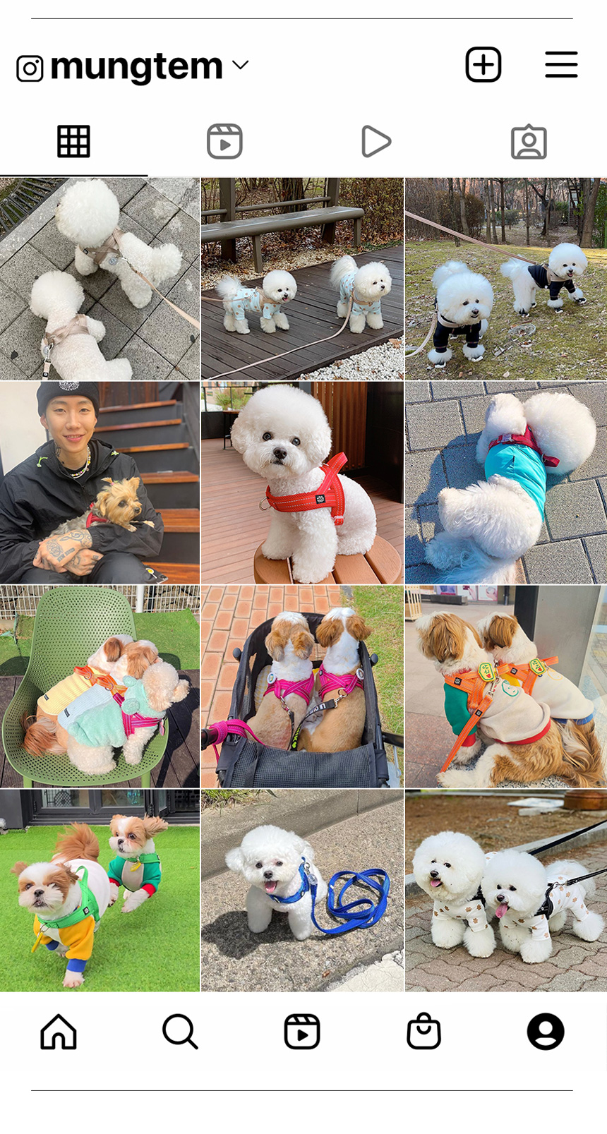 [무료배송] 멍템 X하네스 레드/핑크/오렌지/그린/블루/블랙/베이지   XXS-M 3번째